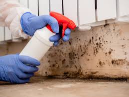 Best Mold Odor Removal Services in Pike Creek, DE